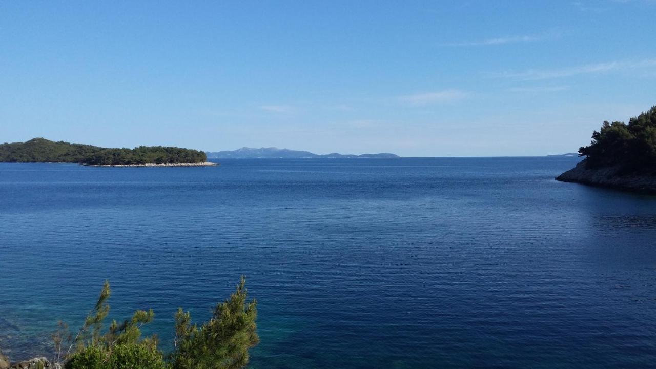 Apartments By The Sea Cove Zaglav, Korcula - 12208 Prizba Ngoại thất bức ảnh